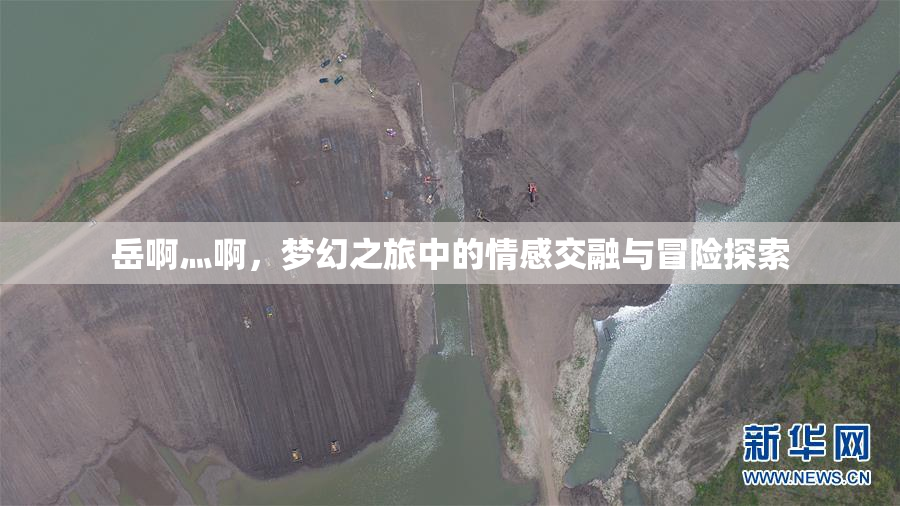 岳啊灬啊，梦幻之旅中的情感交融与冒险探索