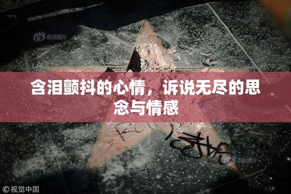 含泪颤抖的心情，诉说无尽的思念与情感