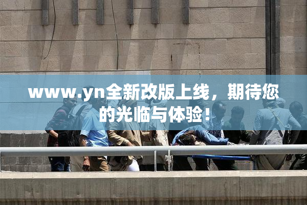 www.yn全新改版上线，期待您的光临与体验！