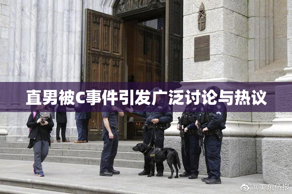 直男被C事件引发广泛讨论与热议