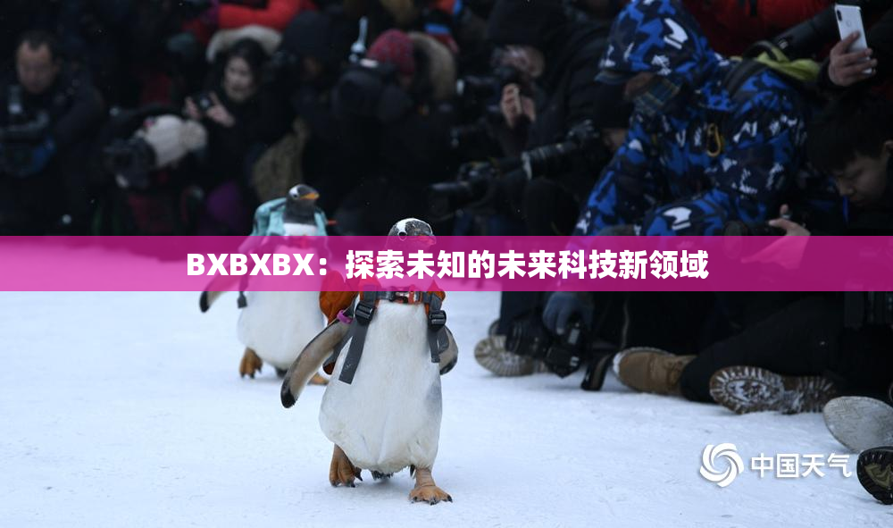 BXBXBX：探索未知的未来科技新领域
