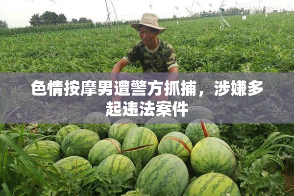 色情按摩男遭警方抓捕，涉嫌多起违法案件