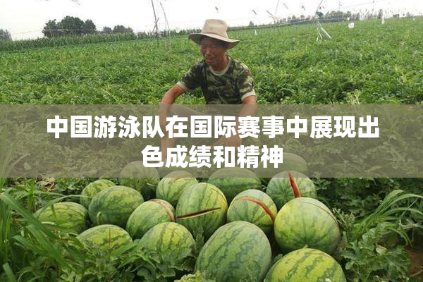 中国游泳队在国际赛事中展现出色成绩和精神