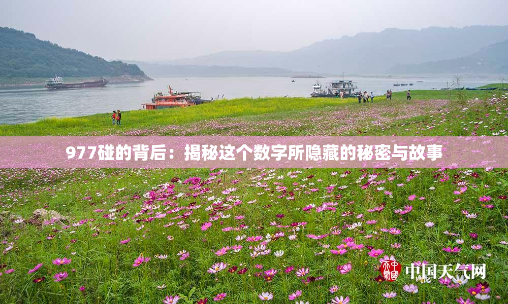 977碰的背后：揭秘这个数字所隐藏的秘密与故事