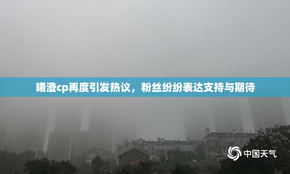 曦澄cp再度引发热议，粉丝纷纷表达支持与期待