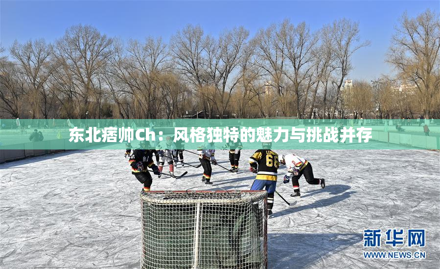 东北痞帅Ch：风格独特的魅力与挑战并存