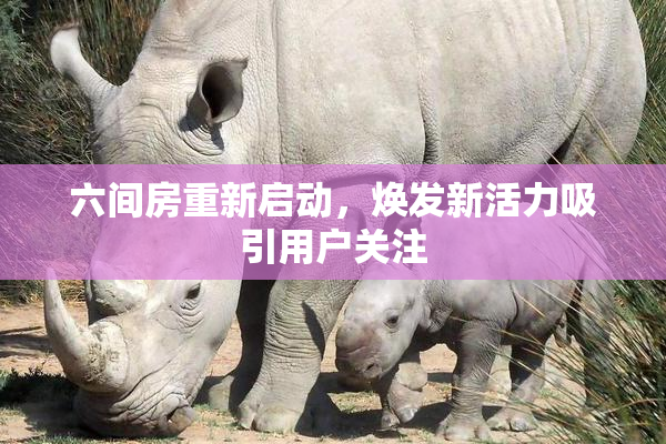六间房重新启动，焕发新活力吸引用户关注
