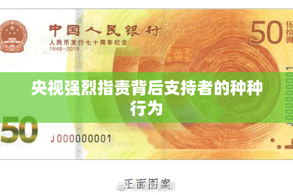 央视强烈指责背后支持者的种种行为