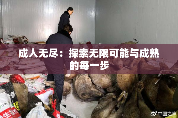 成人无尽：探索无限可能与成熟的每一步