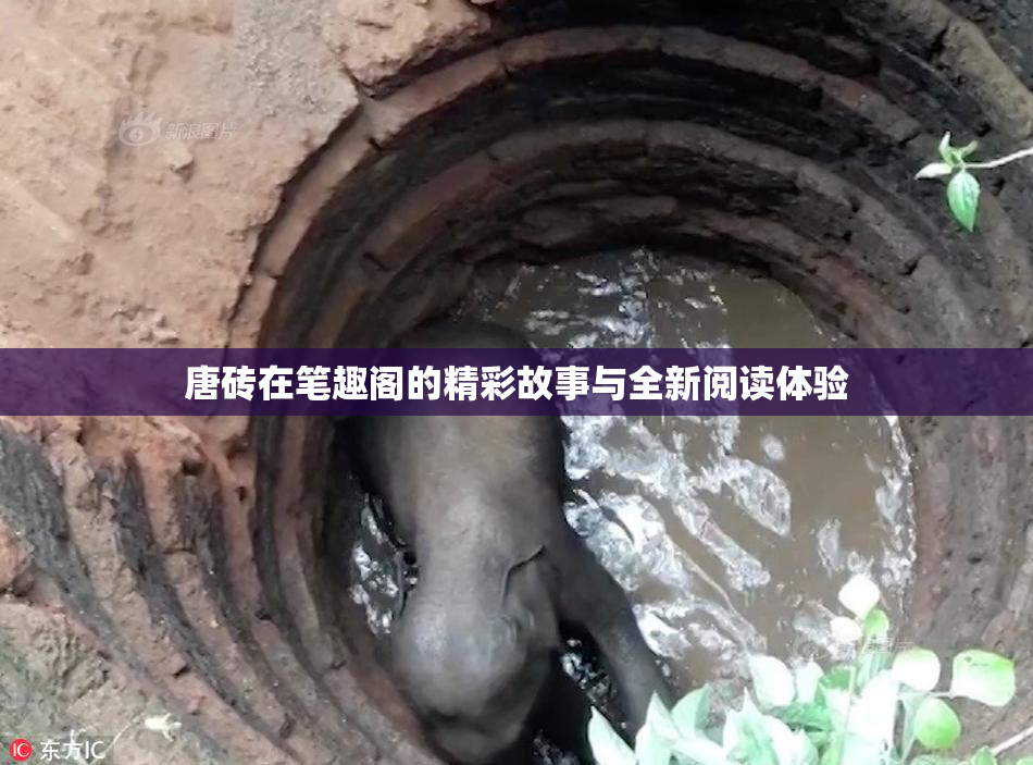 唐砖在笔趣阁的精彩故事与全新阅读体验