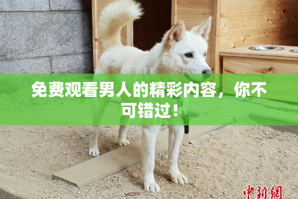 免费观看男人的精彩内容，你不可错过！