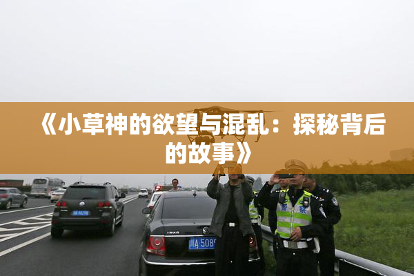 《小草神的欲望与混乱：探秘背后的故事》