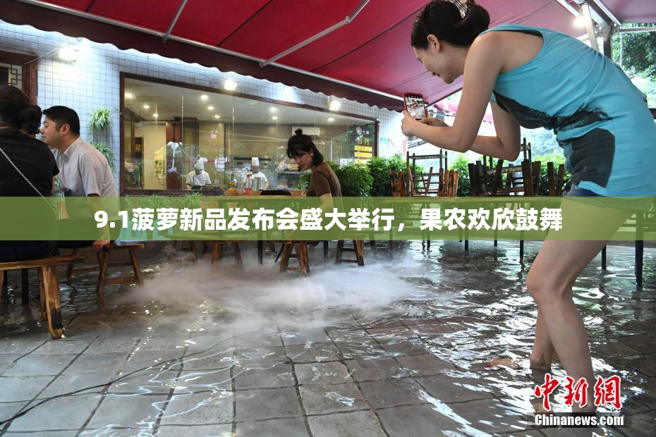 9.1菠萝新品发布会盛大举行，果农欢欣鼓舞