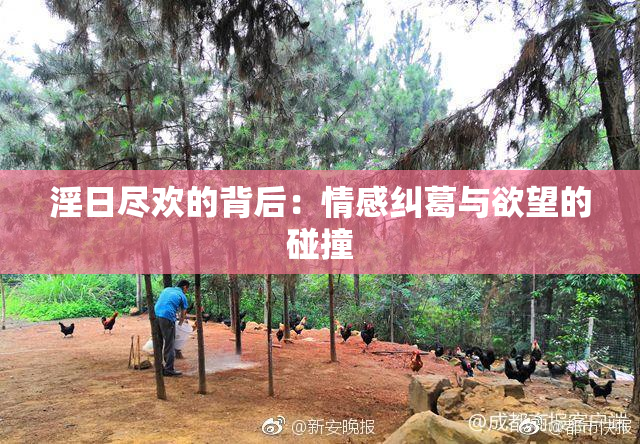 淫日尽欢的背后：情感纠葛与欲望的碰撞