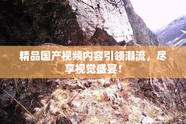 精品国产视频内容引领潮流，尽享视觉盛宴！