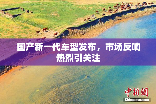 国产新一代车型发布，市场反响热烈引关注