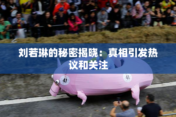 刘若琳的秘密揭晓：真相引发热议和关注