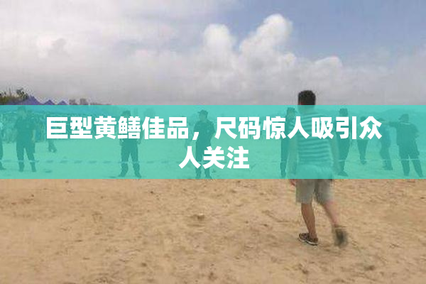 巨型黄鳝佳品，尺码惊人吸引众人关注