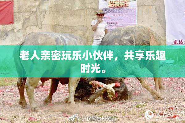 老人亲密玩乐小伙伴，共享乐趣时光。