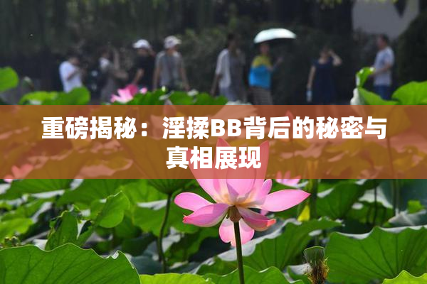 重磅揭秘：淫揉BB背后的秘密与真相展现