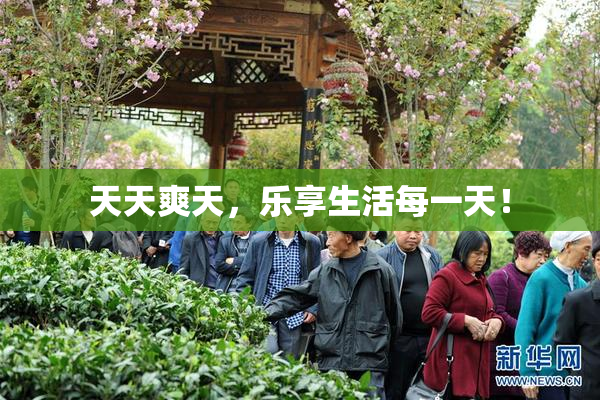 天天爽天，乐享生活每一天！