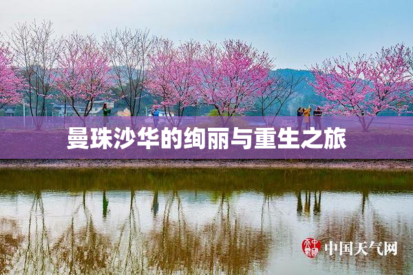 曼珠沙华的绚丽与重生之旅