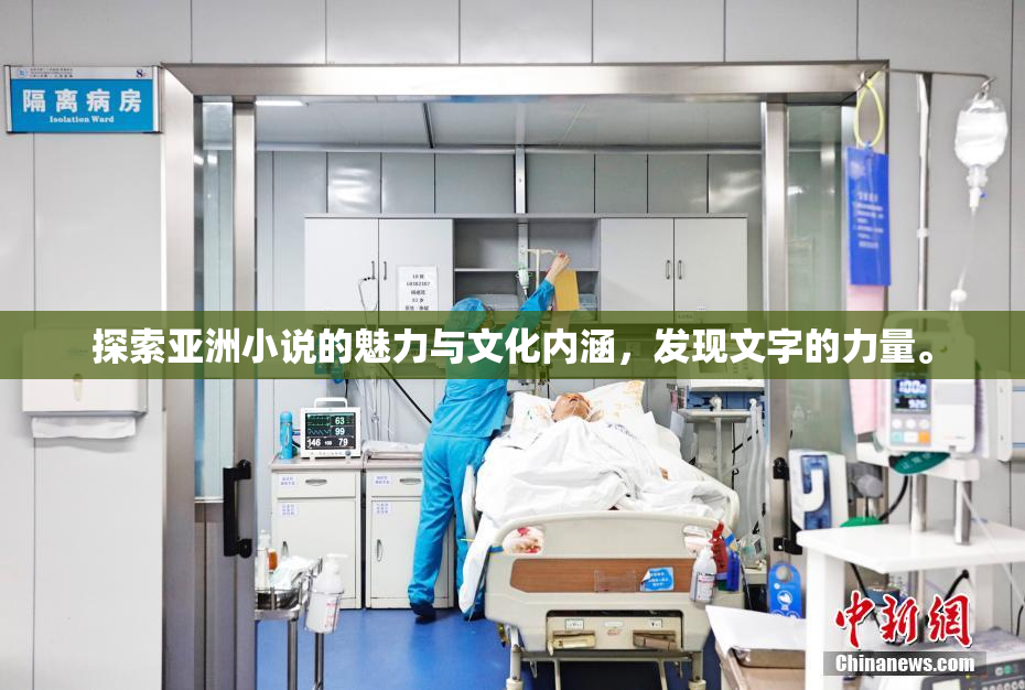 探索亚洲小说的魅力与文化内涵，发现文字的力量。