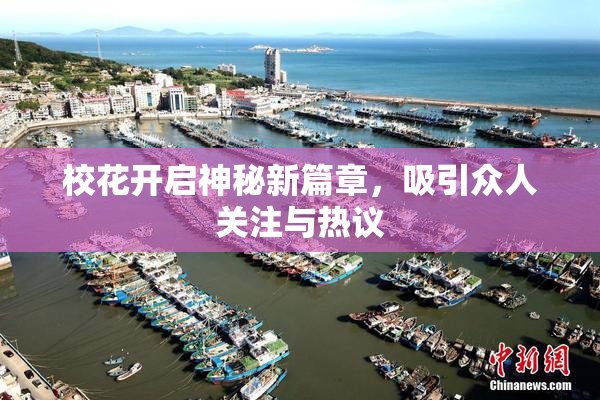 校花开启神秘新篇章，吸引众人关注与热议