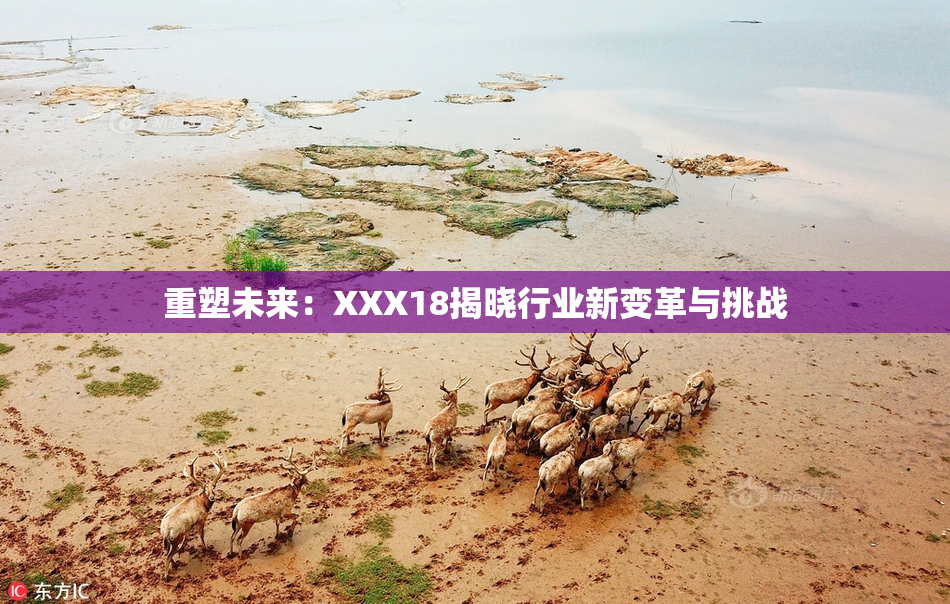 重塑未来：XXX18揭晓行业新变革与挑战