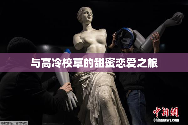 与高冷校草的甜蜜恋爱之旅