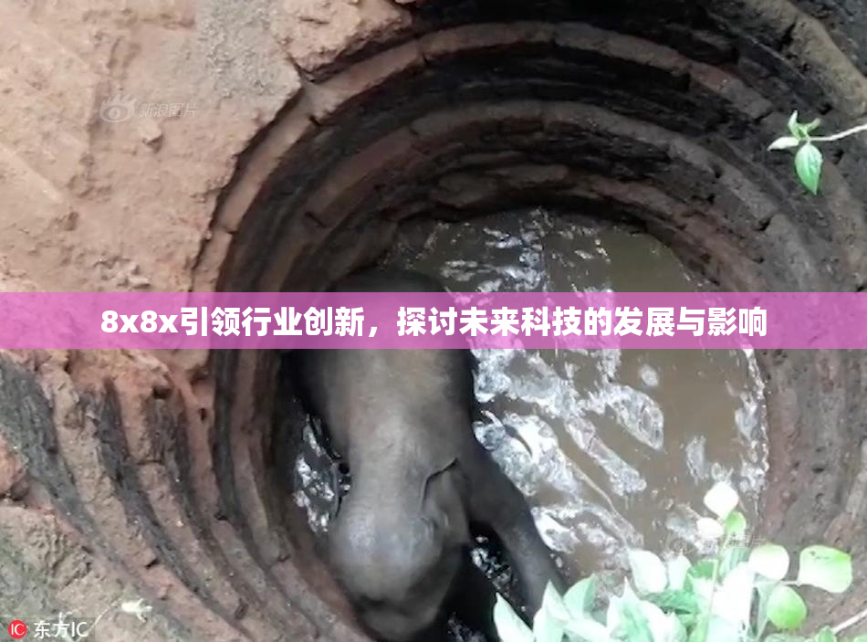 8x8x引领行业创新，探讨未来科技的发展与影响