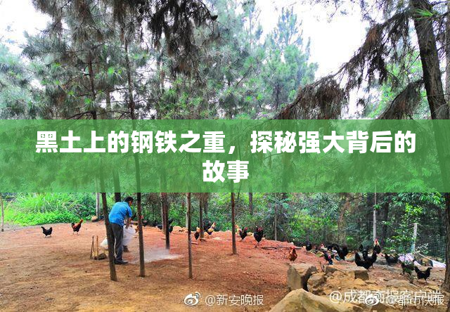 黑土上的钢铁之重，探秘强大背后的故事