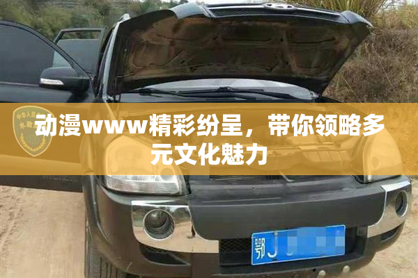 动漫www精彩纷呈，带你领略多元文化魅力
