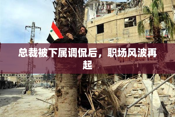 总裁被下属调侃后，职场风波再起