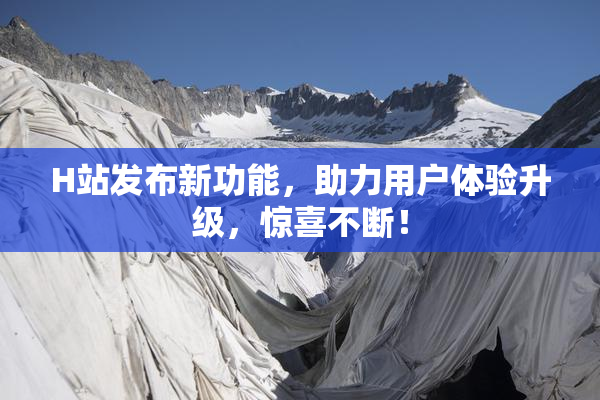 H站发布新功能，助力用户体验升级，惊喜不断！