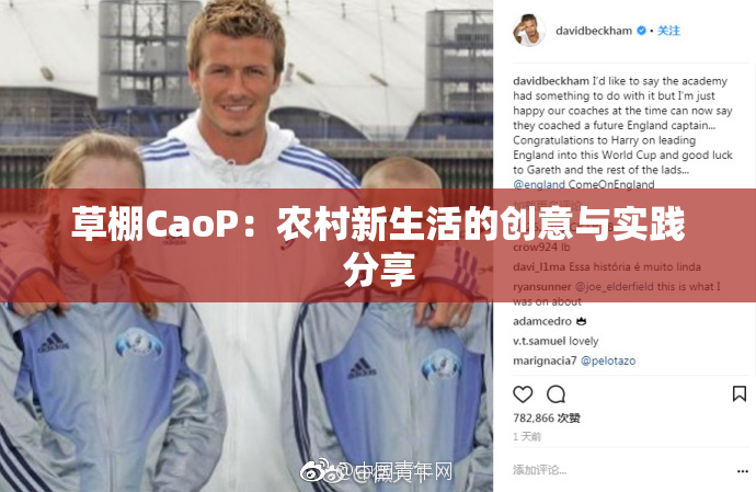 草棚CaoP：农村新生活的创意与实践分享