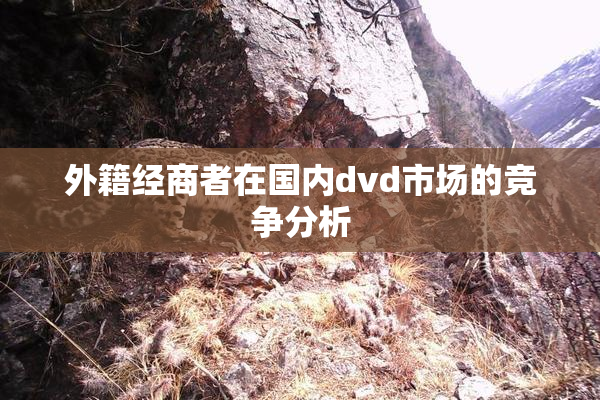 外籍经商者在国内dvd市场的竞争分析