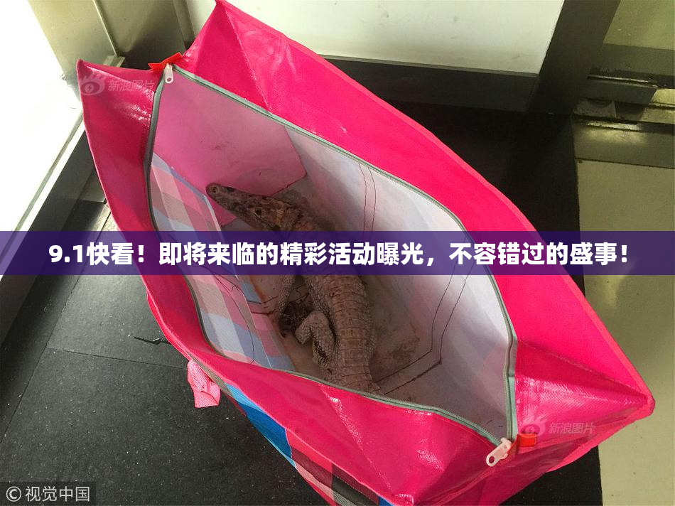 9.1快看！即将来临的精彩活动曝光，不容错过的盛事！