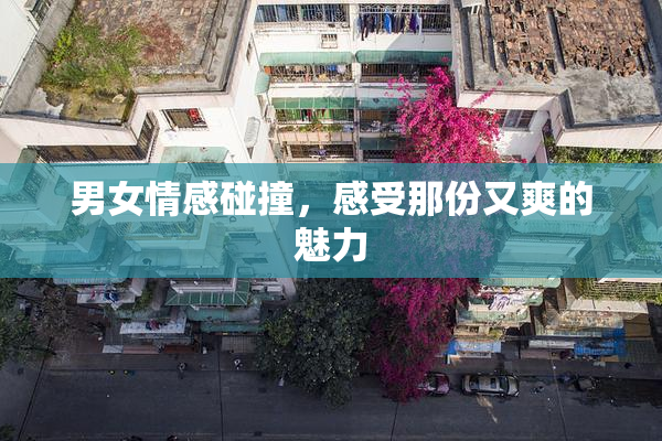 男女情感碰撞，感受那份又爽的魅力