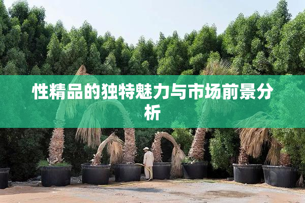 性精品的独特魅力与市场前景分析