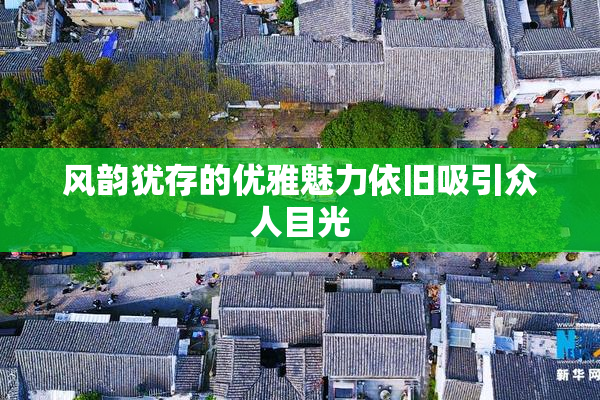 风韵犹存的优雅魅力依旧吸引众人目光