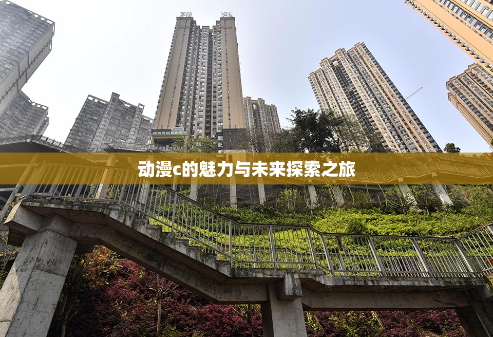 动漫c的魅力与未来探索之旅