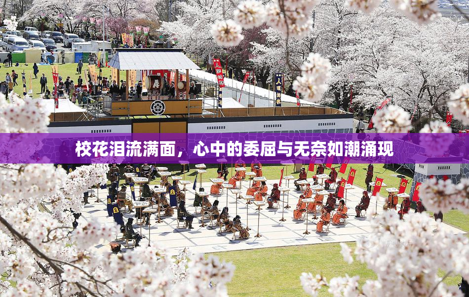 校花泪流满面，心中的委屈与无奈如潮涌现