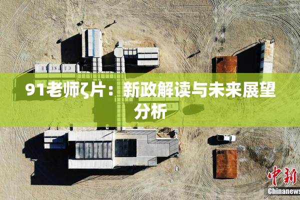 91老师ζ片：新政解读与未来展望分析