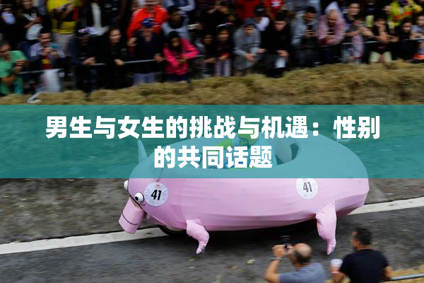 男生与女生的挑战与机遇：性别的共同话题