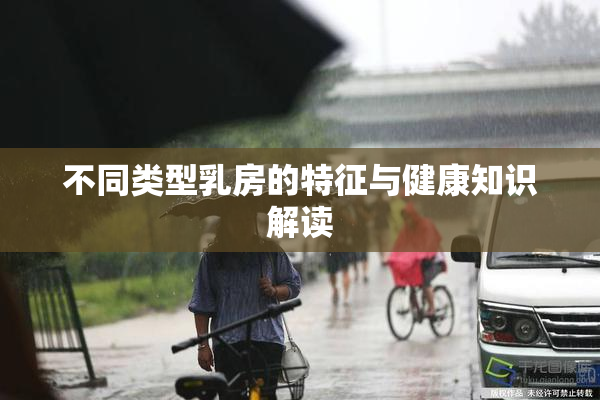 不同类型乳房的特征与健康知识解读