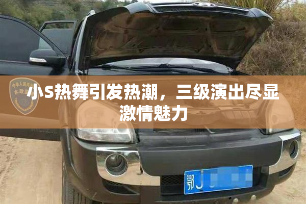 小S热舞引发热潮，三级演出尽显激情魅力
