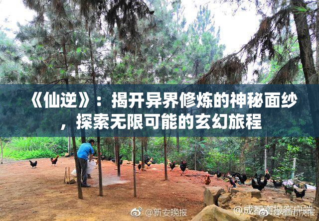 《仙逆》：揭开异界修炼的神秘面纱，探索无限可能的玄幻旅程