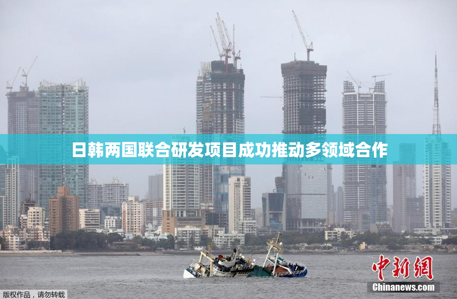 日韩两国联合研发项目成功推动多领域合作