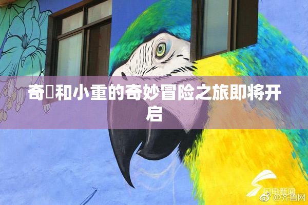 奇犽和小重的奇妙冒险之旅即将开启